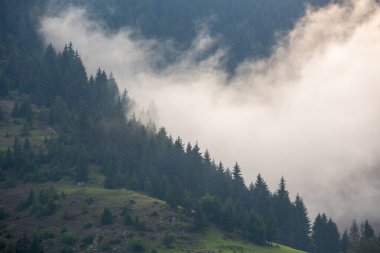 Giresun Eyaleti, Kulakkaya Dağlık Toprakları Dağlık Topraklardaki doğa, evler ve hayvanlar