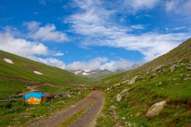 Girsun dağlık arazi, dağlık arazi, dereli, girsun