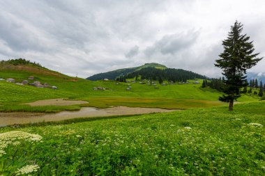 Giresun ilinde yer alan Glyan Platosu, ahşap evleriyle otantik bir manzara sunan bir göle sahiptir..