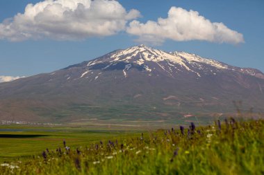 Malazgirt ovasından Sphan Dağı