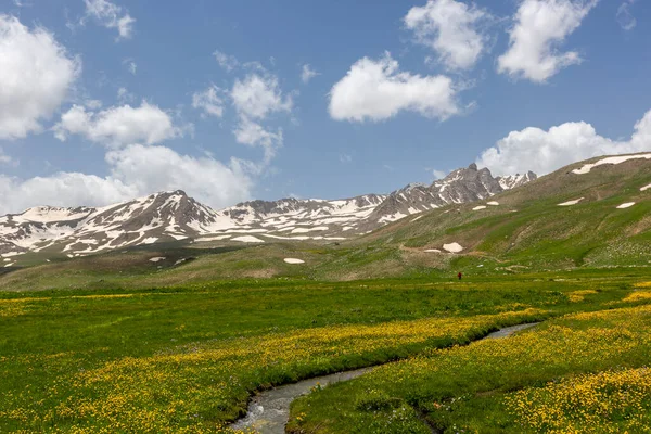 Berelan yaylası, karlı dağ manzarası ve çiçek açan yer, Hakkari, Türkiye