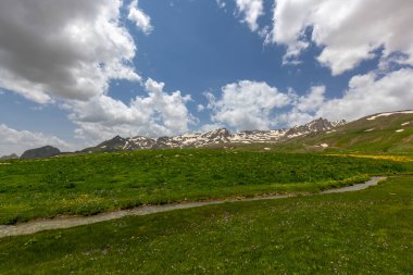 Berelan yaylası, karlı dağ manzarası ve çiçek açan yer, Hakkari, Türkiye