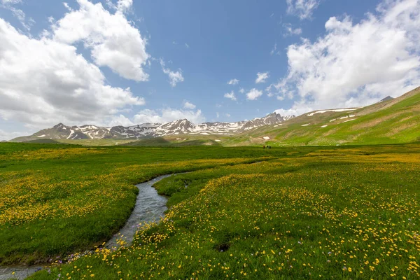 stock image Berelan plateau snowy mountain landscape and blooming ground, Hakkari, Turkey