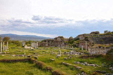Afrodisias Antik Şehir. (Afrodizyaklar) Tanrıça Afrodit 'e adanmış birçok antik şehrin ortak adı. Afrodizyak denilen şehirlerin en ünlüsü. Karacasu - Aydn, Türkiye