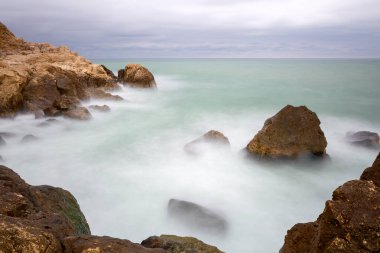 İstanbul 'un Arnavutky ilçesindeki Karaburun sahil kasabasındaki plajda uzun süre görüldü.