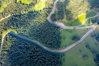curvy roads and unique forest scenery, Artvin, Turkey