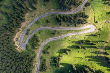 curvy roads and unique forest scenery, Artvin, Turkey