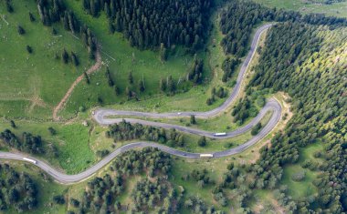 curvy roads and unique forest scenery, Artvin, Turkey