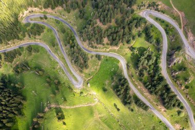 curvy roads and unique forest scenery, Artvin, Turkey