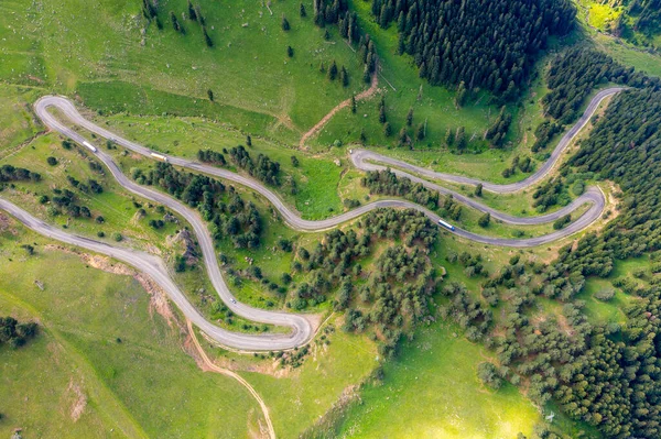 Curvy Roads Unique Forest Scenery Artvin Turkey — Fotografia de Stock