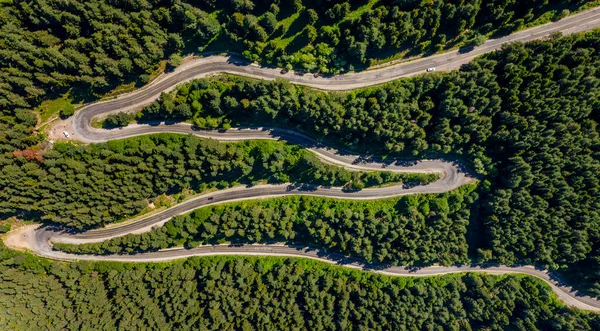 Curvy Roads Unique Forest Scenery Artvin Turkey — Foto Stock