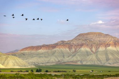 Ankara 'nın havadan görünüşü, Nallhan Kuş Cenneti.