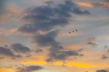 amazing cloud images for background