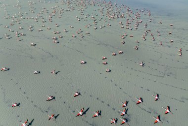 Yarisli Gölü ve Burdur, Türkiye 'de bir adacık
