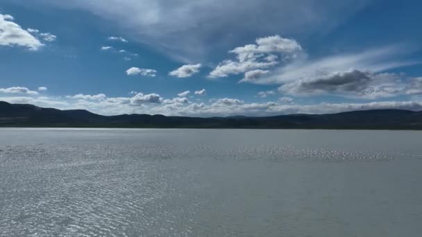 ヤリス湖とトルコのブルドゥール島にある島 — ストック動画