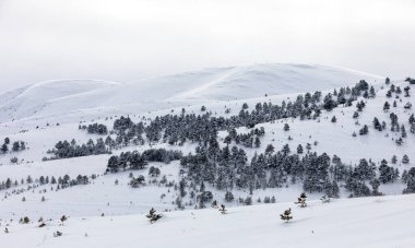 Karlı dağlar ve ağaçlarla kaplı kış manzarası