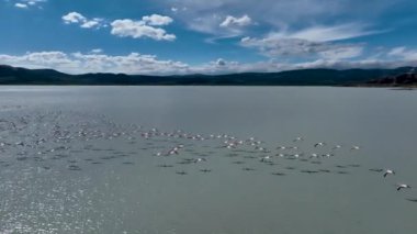 Yarisli Gölü ve Burdur, Türkiye 'de bir adacık