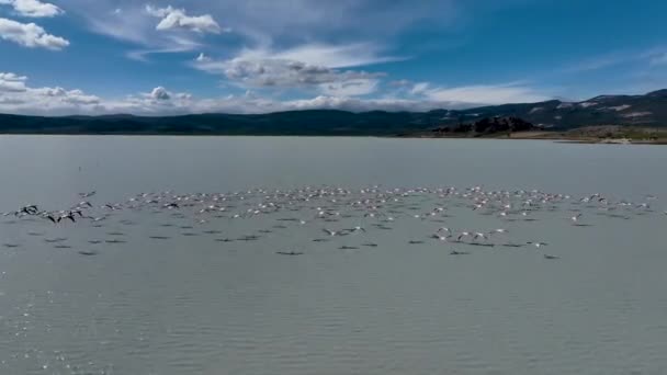 Lago Yarisli Uma Ilhota Burdur Turquia — Vídeo de Stock