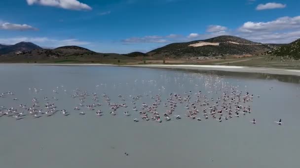 Yarisli Lake Och Holme Burdur Turkiet — Stockvideo