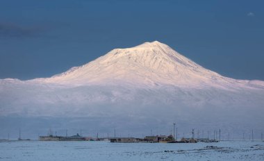 Ararat 