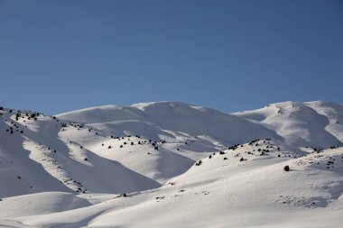 Karlı dağlar ve ağaçlarla kaplı kış manzarası