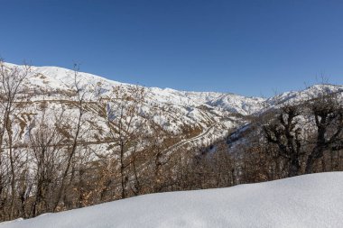 Karlı dağlar ve ağaçlarla kaplı kış manzarası
