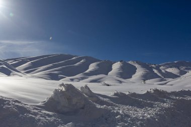 Karlı dağlar ve ağaçlarla kaplı kış manzarası