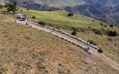 Erzincan, Türkiye, 30 Haziran 2022: Arı yetiştiricisi elinde arılarla bir bal hücresi tutuyor. Apiculture. Apiary. Bal peteği üzerinde çalışan arılar. Arılar taraklar üzerinde çalışır.