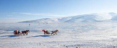 Kars - Türkiye - 6 Mart 2018: Donmuş Cildir gölünde bir at kızağı çekti. Geleneksel Türk kış eğlencesi. Cildir Gölü, Kars, Türkiye