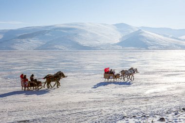 Kars - Türkiye - 6 Mart 2018: Donmuş Cildir gölünde bir at kızağı çekti. Geleneksel Türk kış eğlencesi. Cildir Gölü, Kars, Türkiye