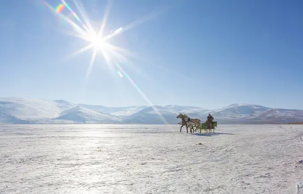 Kars - Türkiye - 6 Mart 2018: Donmuş Cildir gölünde bir at kızağı çekti. Geleneksel Türk kış eğlencesi. Cildir Gölü, Kars, Türkiye