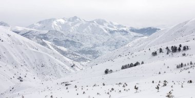 Karlı dağlar ve ağaçlarla kaplı kış manzarası