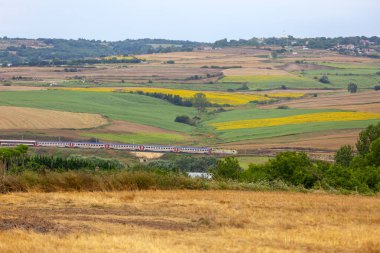 Trakya Bölgesi tren hattı ve ayçiçeği tarlalarından geçen bir tren.