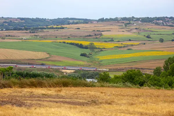 Trakya Bölgesi tren hattı ve ayçiçeği tarlalarından geçen bir tren.