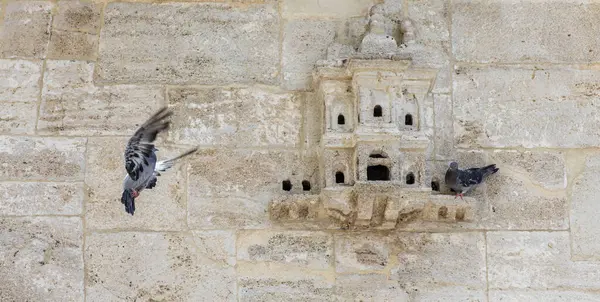 Bird houses in ottoman architecture. Photographs of Ayazma Mosque. Birdhouses added to buildings to accommodate birds