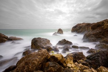 İstanbul 'un Arnavutky ilçesindeki Karaburun sahil kasabasındaki plajda uzun süre görüldü.