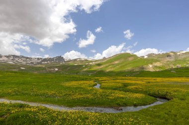 Berelan yaylası, karlı dağ manzarası ve çiçek açan yer, Hakkari, Türkiye