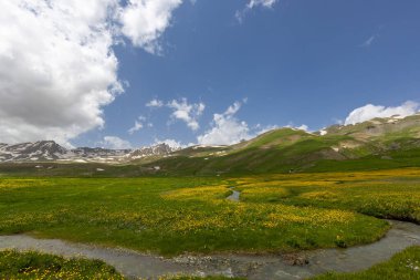 Berelan yaylası, karlı dağ manzarası ve çiçek açan yer, Hakkari, Türkiye