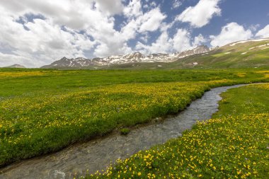 Berelan yaylası, karlı dağ manzarası ve çiçek açan yer, Hakkari, Türkiye
