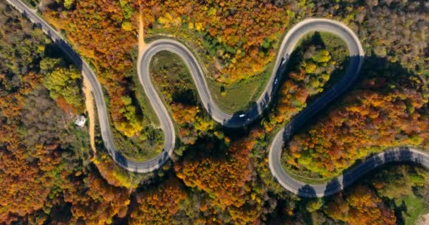 Воздушный Вид Inegol Domanic Дороги Красивыми Осенними Цветами Природы — стоковое видео