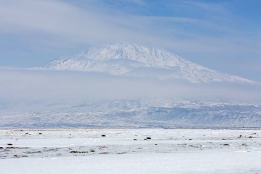 Ararat 