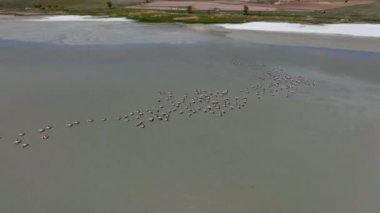 Yarisli Gölü ve Burdur, Türkiye 'de bir adacık
