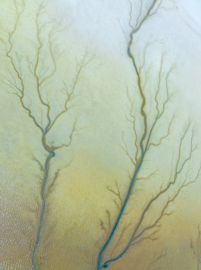 Acigol Gölü ve doğal ağaç figürlerinin havadan görünüşü, Denizli Türkiye.