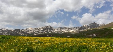 Berelan yaylası, karlı dağ manzarası ve çiçek açan yer, Hakkari, Türkiye