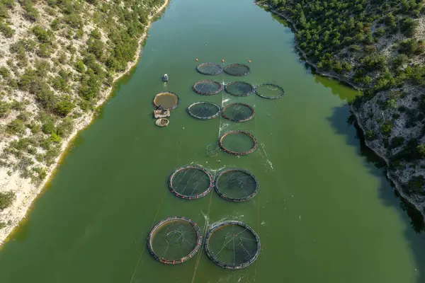 stock image fish farming on fish farm in the lake