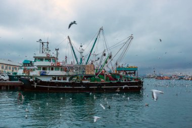 Balıkçılık sezonu açıldı tamir edilmiş balık ağları ve balıkçılar denize gitmeye hazır.
