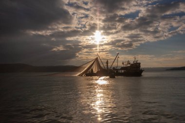 Balıkçılar oltaya takılan balıkları çekmek için ağlarını attılar.