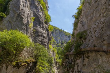 Horma Kanyonu, Kure Dağları Ulusal Parkı, Kastamonu, Türkiye. Tahta yürüyüş yolu.