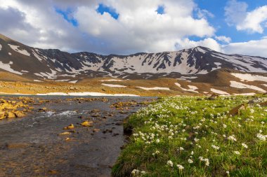 Yedigoller Kesis Dağı Erzincan Türkiye 'nin manzaralı manzarası