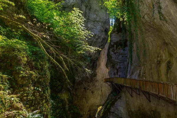 stock image Horma Canyon, Kure Mountains National Park, Kastamonu, Turkey. Wooden walking path.